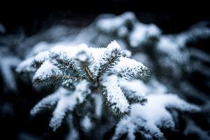 Christmas Holiday_12.jpg Christmas Wallpapers